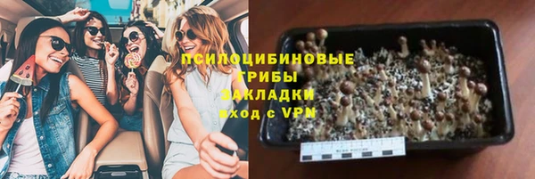 мет Арсеньев
