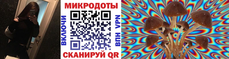наркошоп  даркнет наркотические препараты  ссылка на мегу онион  Галлюциногенные грибы Magic Shrooms  Алейск 